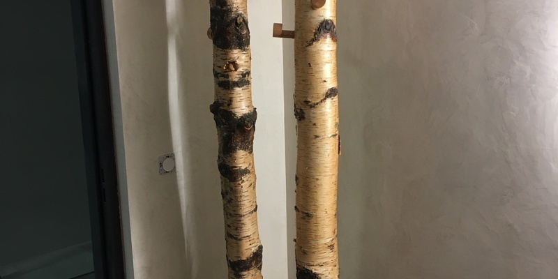 Troncs d'arbre en forme porte manteaux